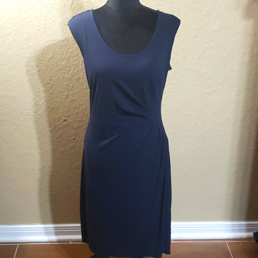 Ann Taylor Dress